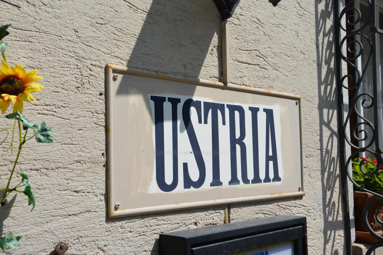 مبيت وإفطار Tavanasa Ustria Crusch Alva المظهر الخارجي الصورة